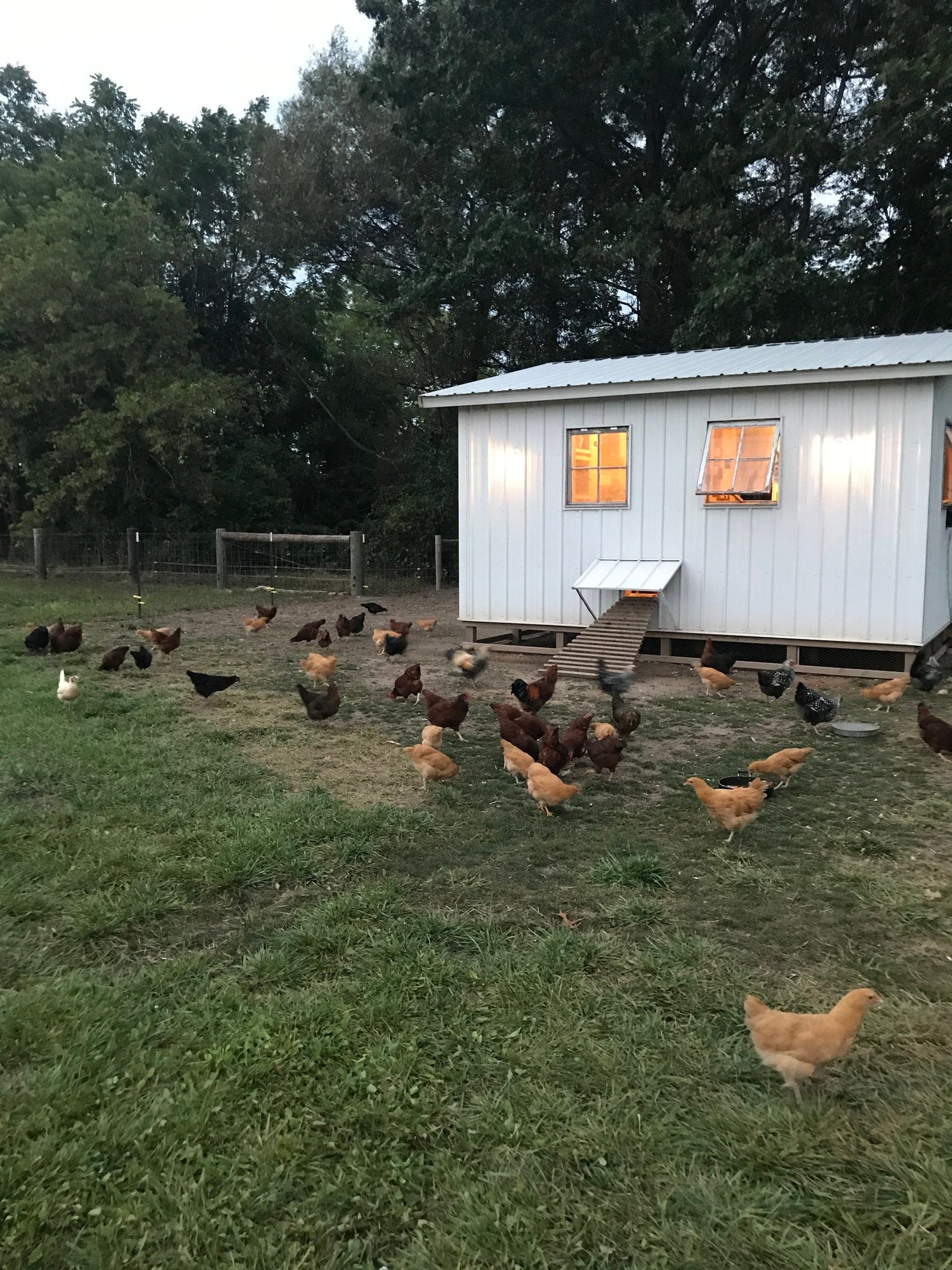 Bennett+Farms+-+20170904_201749_IMG_0709 Image placeholder indicating a photo is needed, typically used in web design or content management systems to signal missing visual content.