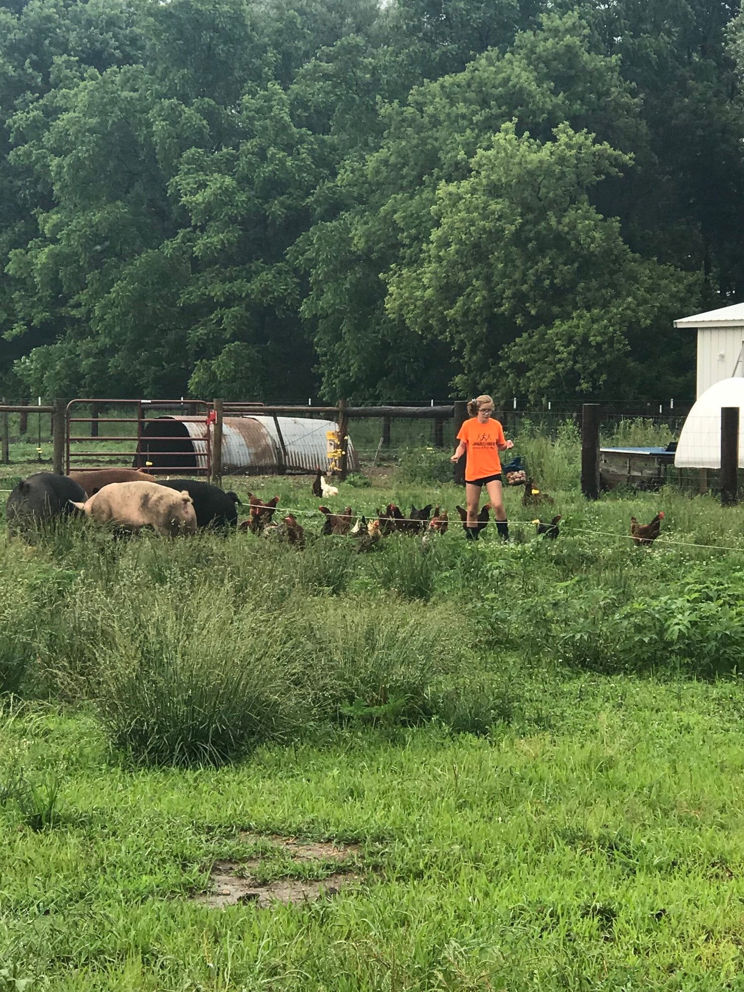 Bennett+Farms+-+20180609_190608_IMG_2176 Image placeholder indicating a photo is needed, typically used in web design or content management systems to signal missing visual content.